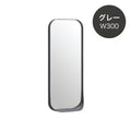 AR Mirror 鏡面